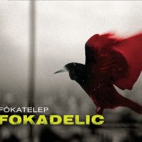 Fókatelep_Fokadelic