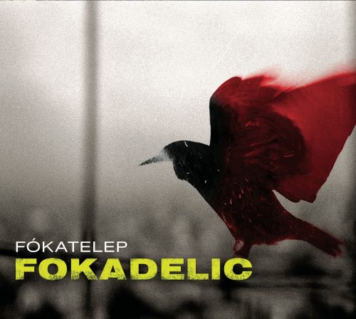 Fókatelep_Fokadelic